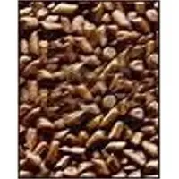Cassiatora seeds